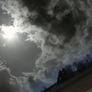 Meet your Posher, Roberta